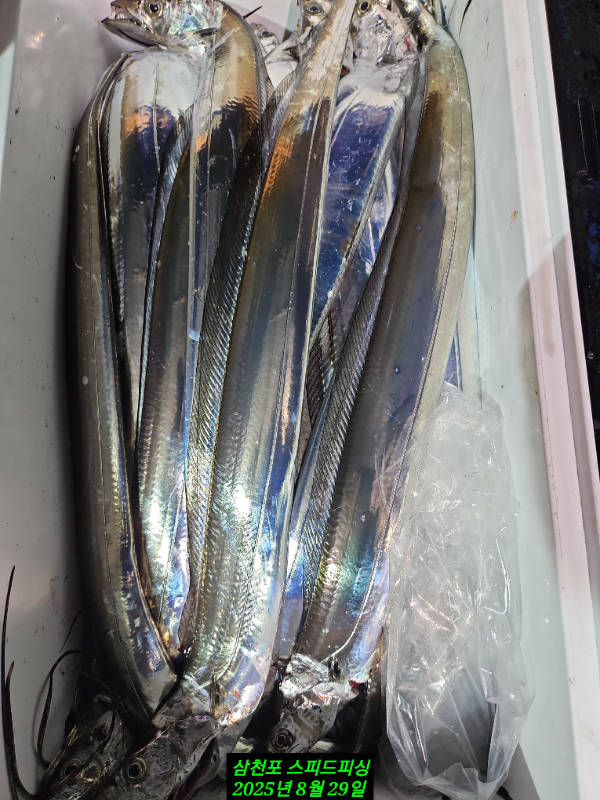 KakaoTalk_20250829_072457717_02.jpg