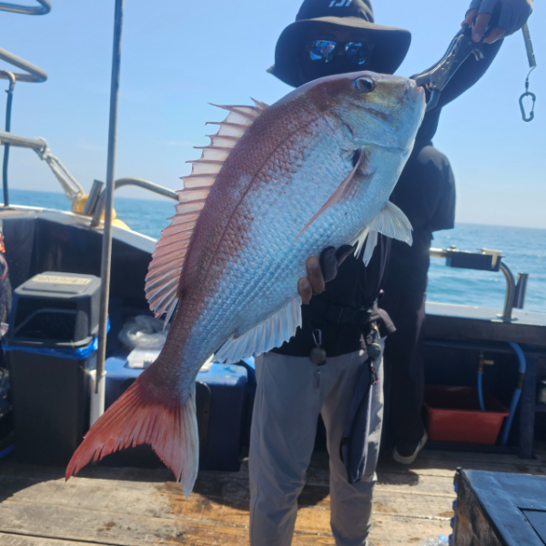 마검포 대한호(VIP)_사진_20250824_8.jpg