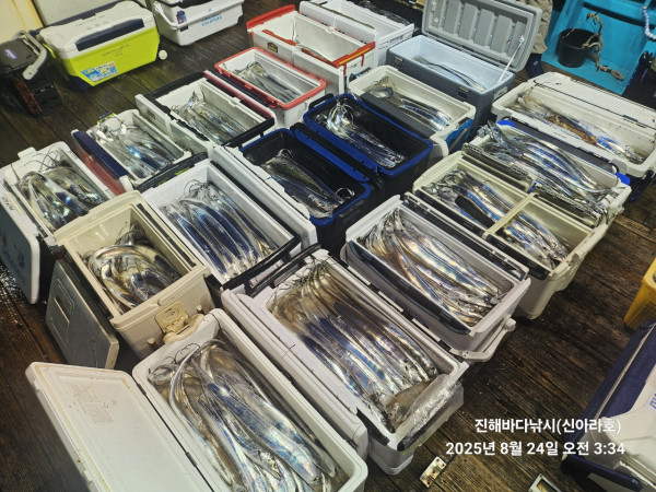 바다꾼낚시(신아라호)_사진_20250824_3.jpg