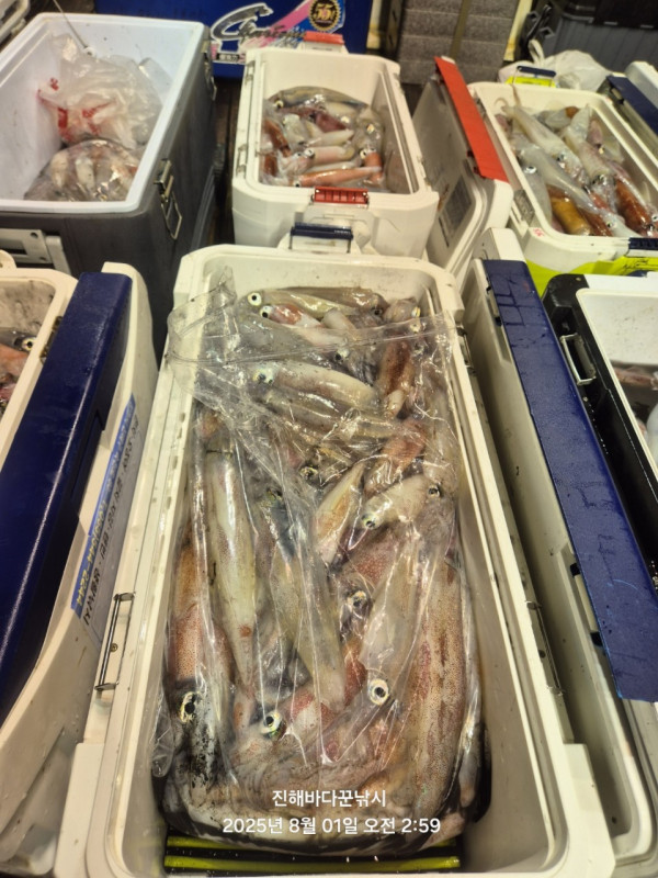 바다꾼낚시(신아라호)_사진_20250801_16.jpg