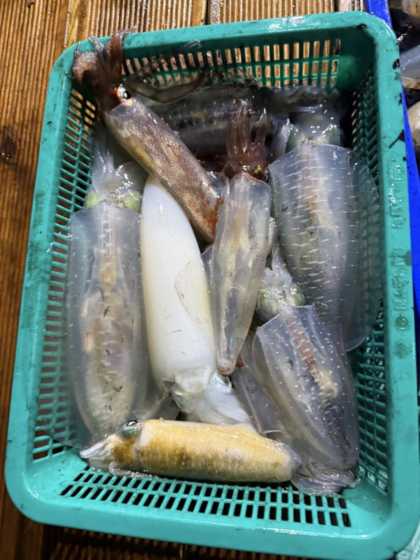 제주 쏘니호_사진_20250821_10.jpg