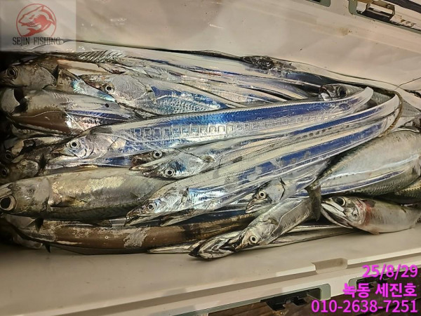 KakaoTalk_20250829_071543903_04.jpg