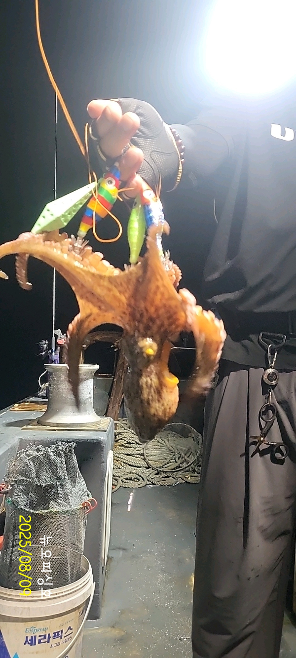 DateCamera0809022219.jpg