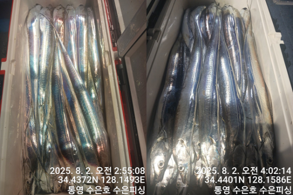 1754081588924-tile.jpg