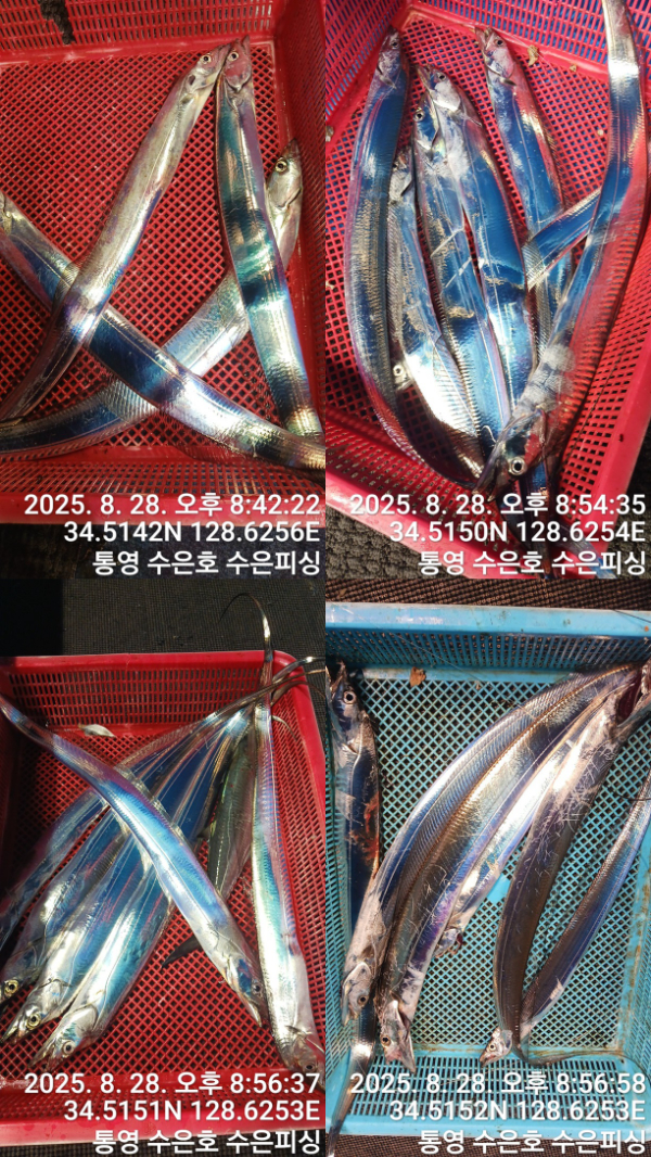 1756414603735-tile.jpg