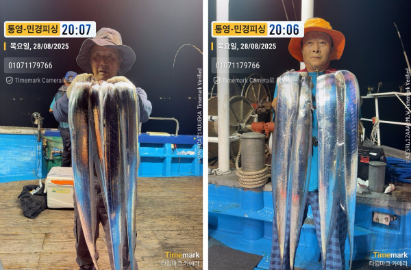 이미지.jpeg