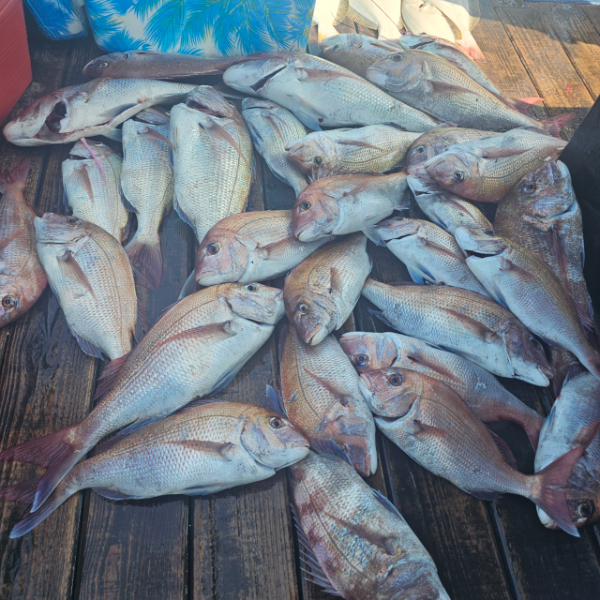 마검포 대한호(VIP)_사진_20250824_1.jpg