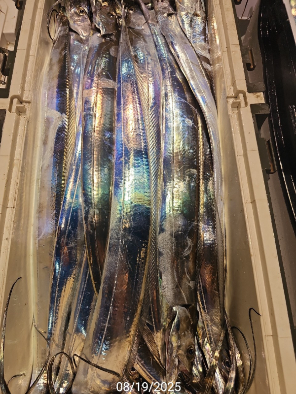 ABF27468-2751-42C2-8B1A-1223EB4E4B02.jpeg