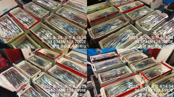 1756414594636-tile.jpg