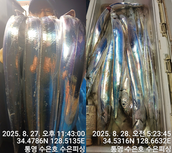 1756332276693-tile.jpg