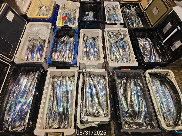 D88ED9BC-808F-472A-8F2B-216FE46208A3.jpeg
