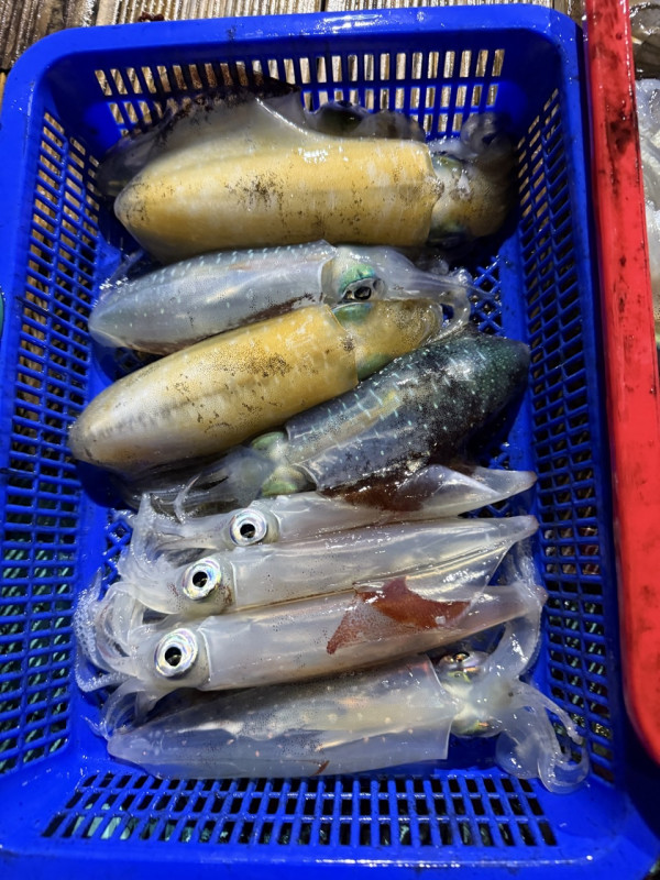 제주 쏘니호_사진_20250821_9.jpg