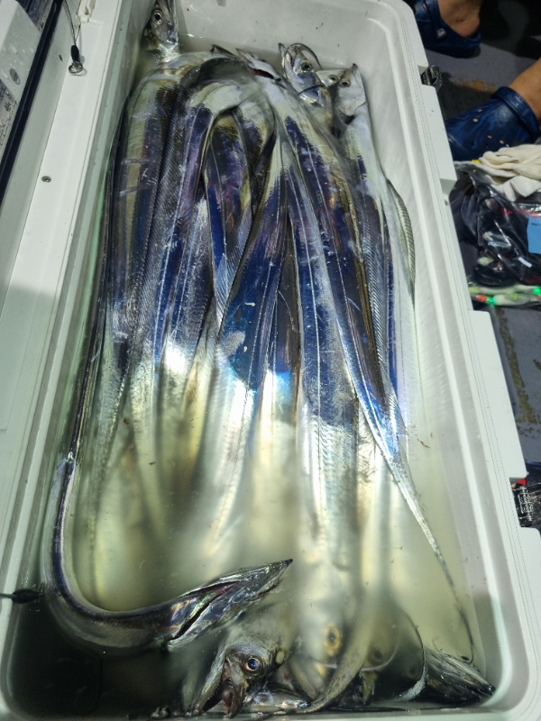 20250830_043959.jpg