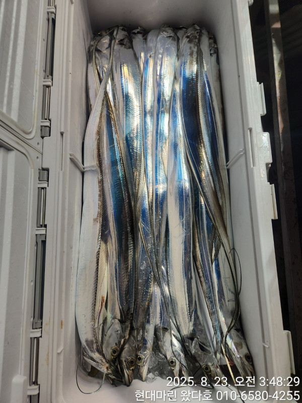 BandPhoto_2025_08_23_09_06_11_24.jpg