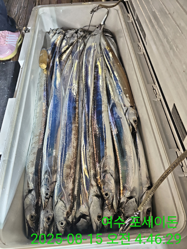 23d72164012f467ce70ebc8bd60b1db0.jpg