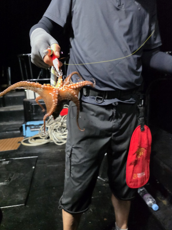 KakaoTalk_Photo_2025-08-31-19-12-00 007.jpeg