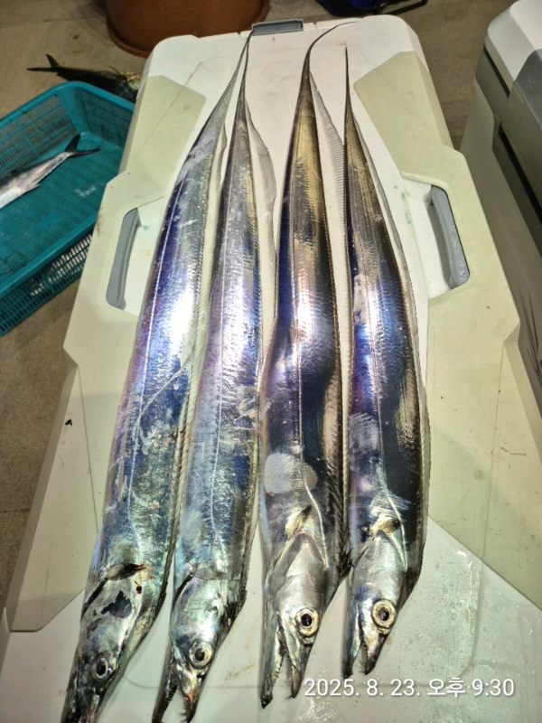 KakaoTalk_Photo_2025-08-24-08-13-15 001.jpeg