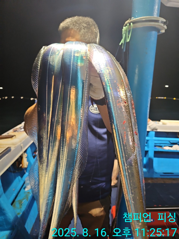 BandPhoto_2025_08_17_12_30_59_17.jpg