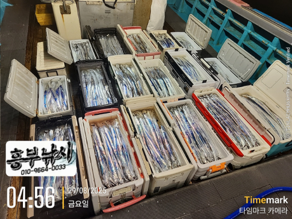 24d7190bf9349de9ae2499cd147e222e.jpg