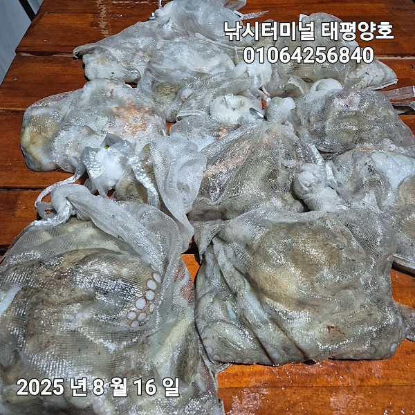 KakaoTalk_20250816_022629382_16.jpg