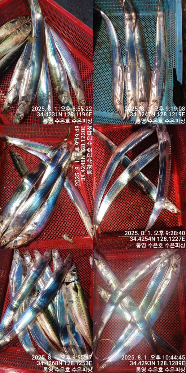 1754081628217-tile.jpg