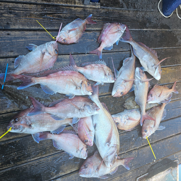 마검포 대한호(VIP)_사진_20250815_3.jpg