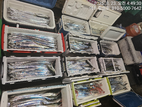 KakaoTalk_20250823_172651676_04.jpg
