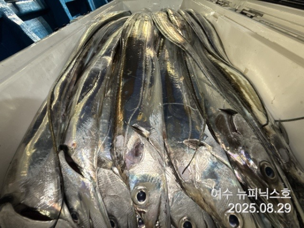 KakaoTalk_20250829_054528447_01.jpg