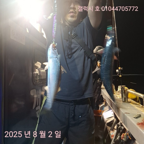 군산 선상낚시, 바다낚시 출조 전문 ☆서군산낚시☆_사진_20250803_8.jpg