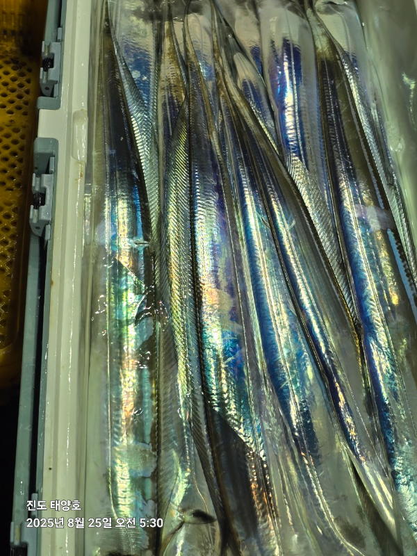 1000008610.jpg