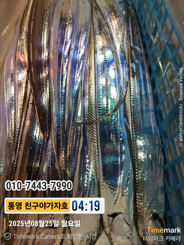 1000024180.jpg