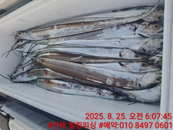 KakaoTalk_20250825_080647627_04.jpg