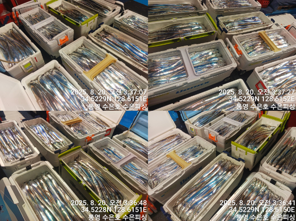 1755635894133-tile.jpg