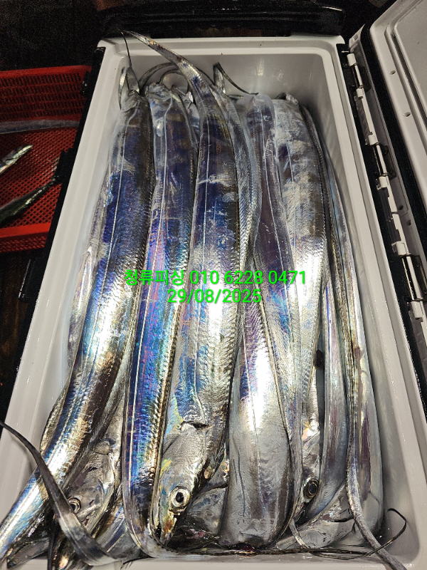 28daa6714daf5b5dff982e34f095eb27.jpg
