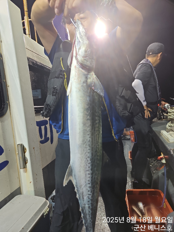 KakaoTalk_20250819_033144192.jpg