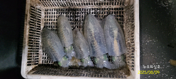 DateCamera0809003345.jpg