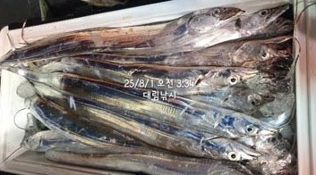 Screenshot 2025-08-02 at 09.30.35.JPG