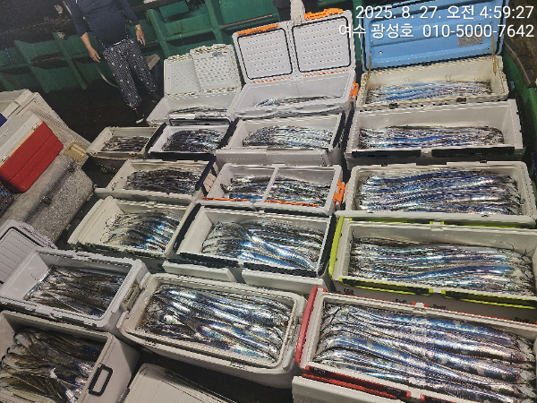 KakaoTalk_20250827_180442912_14.jpg