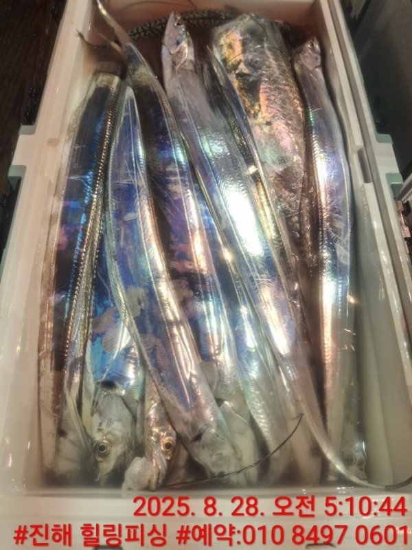 KakaoTalk_20250828_084033464_09.jpg