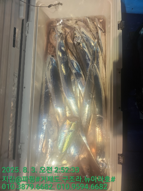 KakaoTalk_20250804_145443382_13.jpg