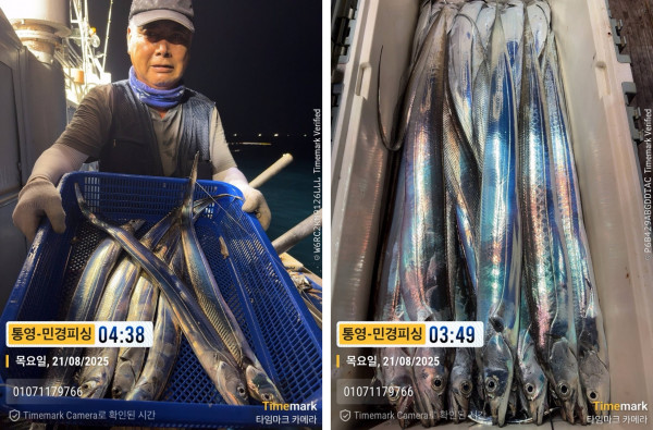 이미지.jpeg