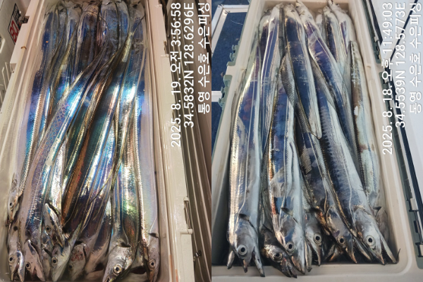 1755550104636-tile.jpg