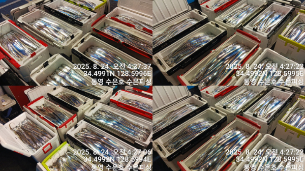 1755985129733-tile.jpg