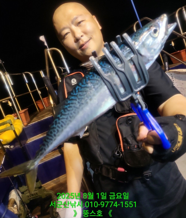 군산 선상낚시, 바다낚시 출조 전문 ☆서군산낚시☆_사진_20250802_1.jpg