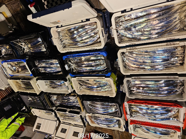 A1FDE4D5-2DDC-44E8-B596-5612033D3A93.jpeg