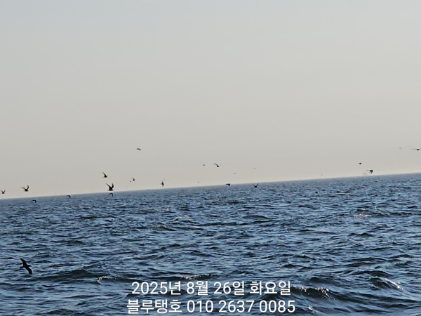 20250826_074030.jpg