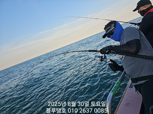 20250830_175242.jpg