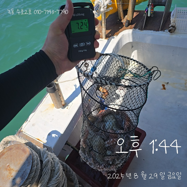 StampCamera20250829134442.jpg