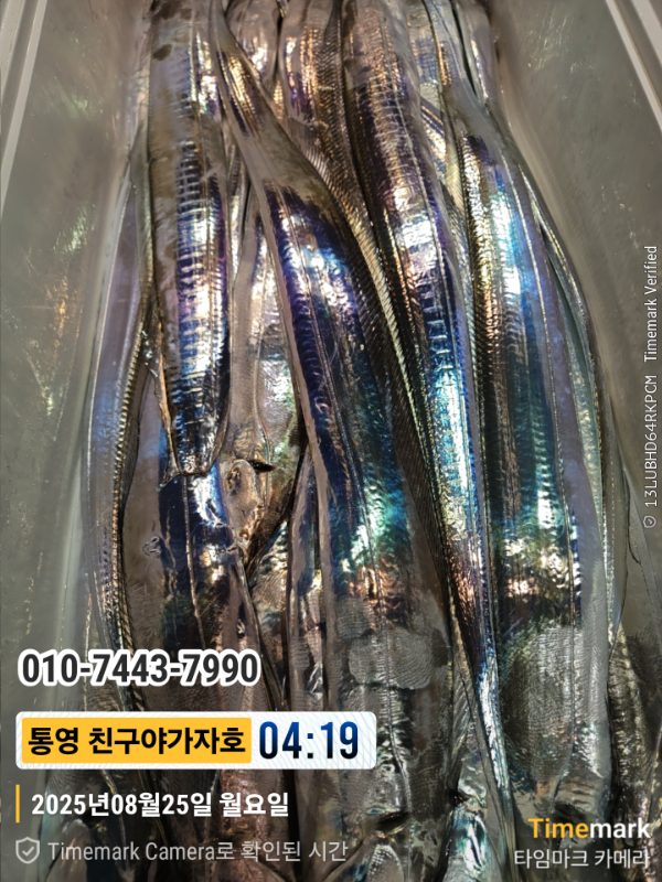1000024171.jpg