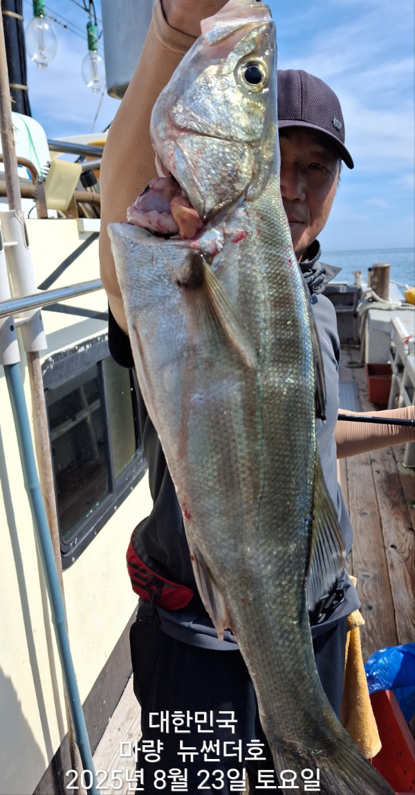 2dace1b87aa6931be0560cbb66102042.jpg